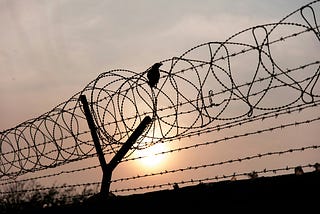 How My Friend Survived 3 Concentration Camps