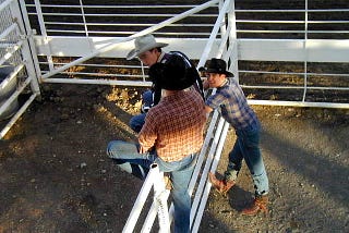 Cowboys on the fence at the Cody Wyoming Rodeo