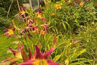 Smoke Flows Above the July Garden