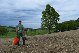 Growing Chestnuts in the Northeast US: a Value Chain Perspective