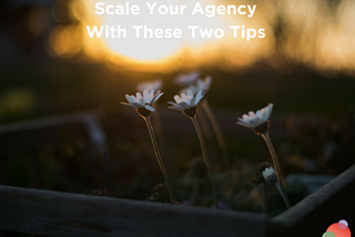 How to Scale Your Agency During Good Times and Bad