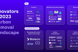 Innovators in 2023 Carbon Removal Landscape