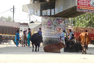 Only in India… Oct 28