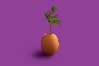 3 Instagram Growth Strategies in 2019