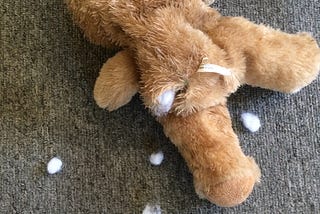 The Murder of Mr T. Bear