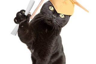 University Gives An Honorary Degree To A Cat. A True Story