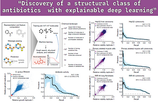 Discovery of a structural class of antibiotics with explainable deep learning. Article review