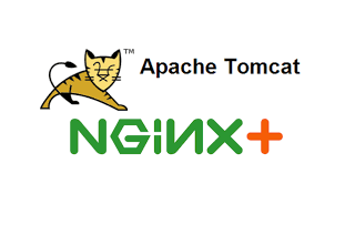 Apache Tomcat with Nginx Proxy on Ubuntu 20.04