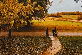 October Poetry