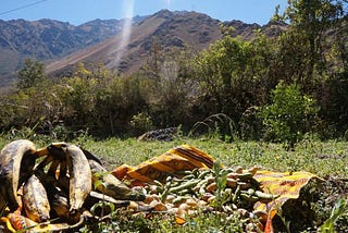 A hand of bananas and a pile of other fruits are on a piece of fabric in a grassy field. In the background is a rocky mountain rising into the blue sky.