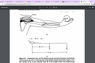 What I’m Learning in Physical Therapy School: Triangles