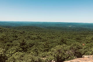 On top of boulders, a green sea hovers