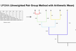 Decoding Evolutionary Paths: A Guide to UPGMA Method for Constructing Phylogenetic Trees