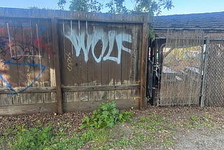 When a Wolf Sees a Mermaid