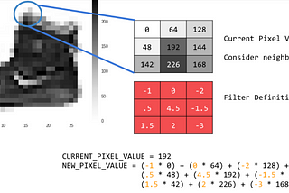 Exploring Convolution Neural Networks (CNNs)