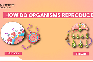 HOW DO ORGANISMS REPRODUCE?