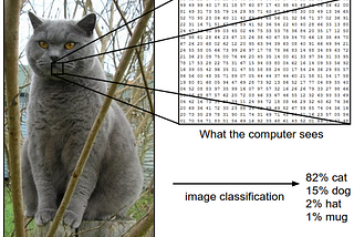 มาสร้าง Image Recognition ด้วย Convolutional Neural Networks (CNN) กันเถอะ