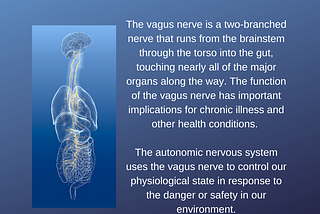 The Vagus Nerve & Chronic Illness