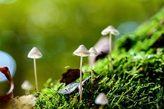Accelerating Climate Tech: The Power of Strategic Partnerships