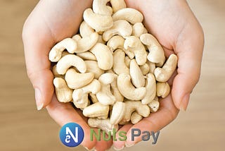 NutsPay x au Web Portal collaboration