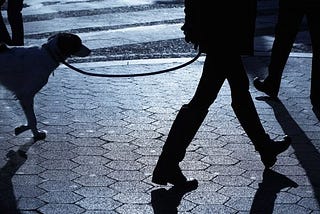 Let’s Talk Safety Tips For Walking Your Dog At Night