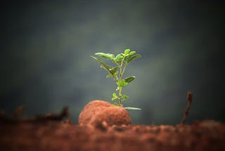Can you cultivate your purpose?