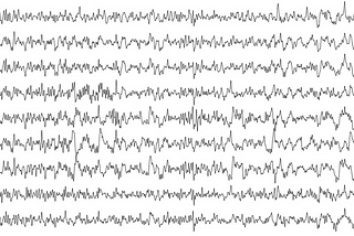 Electroencephalography (EEG) based person identification