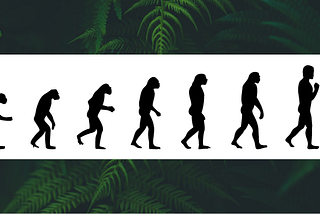 Embracing the Evolution: B Corp Assessment Changes in 2024.