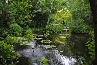 Capturing Montreal’s natural attractions