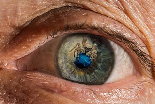 A close up of a human eye. The skin around the eye is wrinkled. The iris is grey-green. The pupil seems to be blue, but it is a reflection of what the eye sees: a blue flower, on which a spider is sitting.
