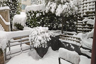 A photograph of a patio with planters and a garden gate under about four inches of fresh snow