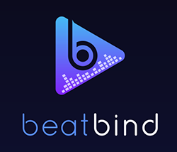 Why should we Invest in Beat Bind?