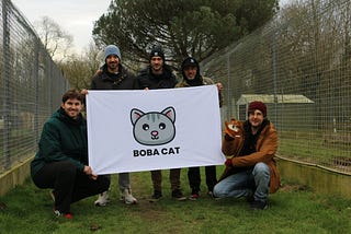 BobaCat in 2025: A Meme Token with Purpose