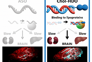 Towards Gene-Targeting Drugs Capable of Targeting Brain Diseases