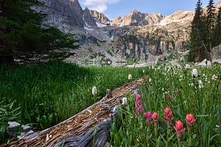 How to enjoy Colorado’s hiking, biking trails this summer without using a car