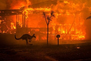 The Australian fires are THE game changer for Climate Change — forcing deniers in politics and…