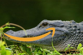 An alligator in profile, with the Amazon ‘smile’ logo superimposed over its mouth. Image: Adam Baker (modified) https://www.flickr.com/photos/atbaker/119455827 CC BY 2.0: https://creativecommons.org/licenses/by/2.0/