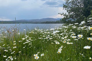 Three Insights on Inviting Abundance into Your Life