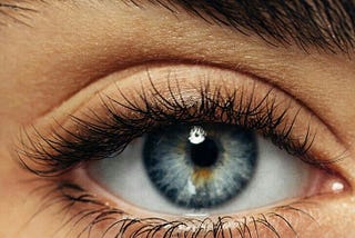 The Nine Types of Intelligence