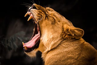 Boomer Babe in Beast Mode
