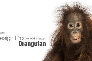 Learn Design Process/Thinking from an Orangutan