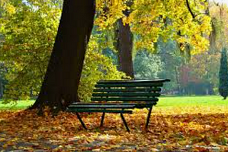 Embracing Self-Forgiveness: Lessons from a Park Bench