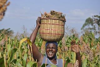 AgroCenta’s Smallholder Farmers Impact Agenda