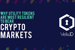 Why Utility Tokens are Most Resilient to Bear Crypto Markets
