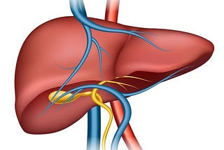 What Causes Liver Failure is the damage