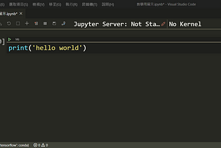 VScode上運行.ipynb檔案，顯示Jupyter Server: Not Started的解決紀錄