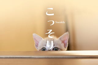 こっそり