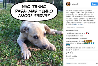 Brasil tem 30 MILHÕES de animais abandonados