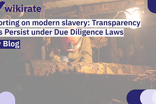 Reporting on modern slavery: Transparency Gaps Persist under Due Diligence Laws