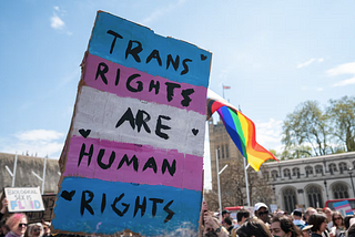 UK Democracy Bulletin, April 2025